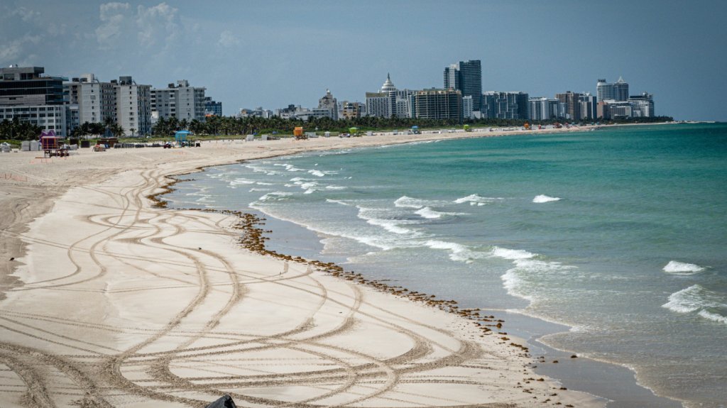  Un ba&ntilde;ista sufre el ataque de un tibur&oacute;n en Florida 
