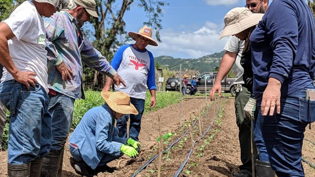  Ampl&iacute;an programa para fortalecer respuesta alimentaria comunitaria en tiempos de crisis en seis pueblos de la Isla 
