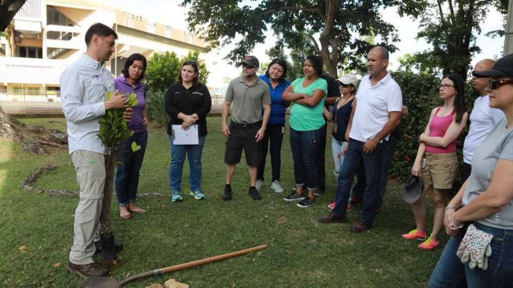  Rama Judicial celebra segunda actividad de reforestaci&oacute;n 