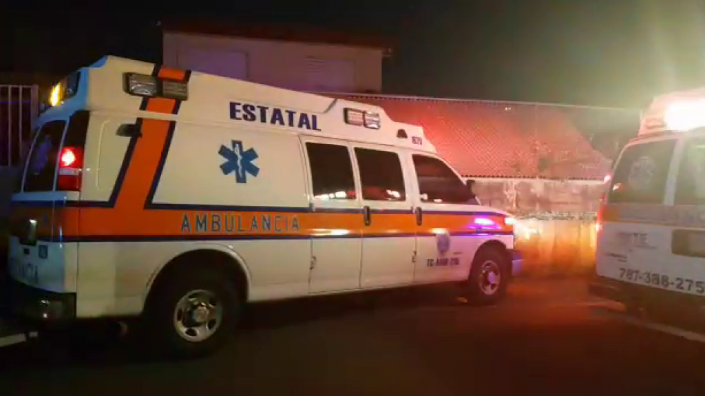  Herido menor de 4 a&ntilde;os al caer de un caballo la 1:30 de la madrugada en Coamo 