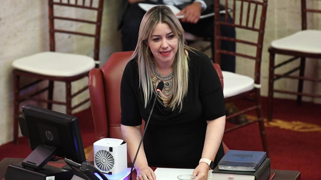  Senadora del PNP presenta resoluci&oacute;n para investigar los apagones programados 