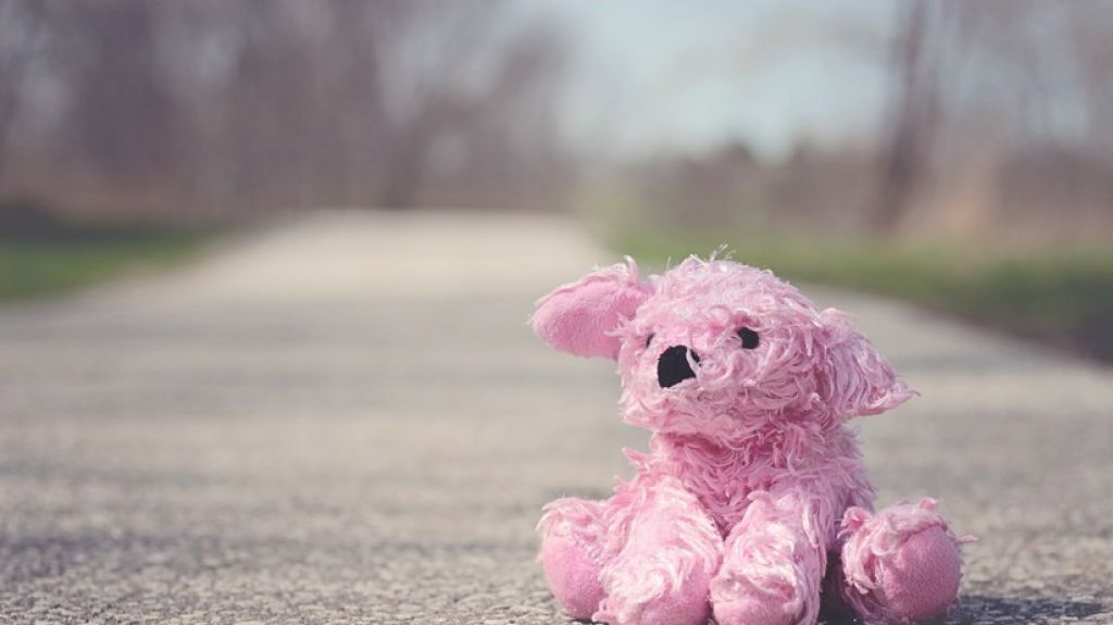  Una ni&ntilde;a de 5 a&ntilde;os que hab&iacute;a superado un c&aacute;ncer muere atropellada por un coche sin conductor 