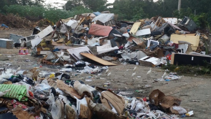 Denuncian foco de contaminaciÃ³n del ZIKA en Ciales 