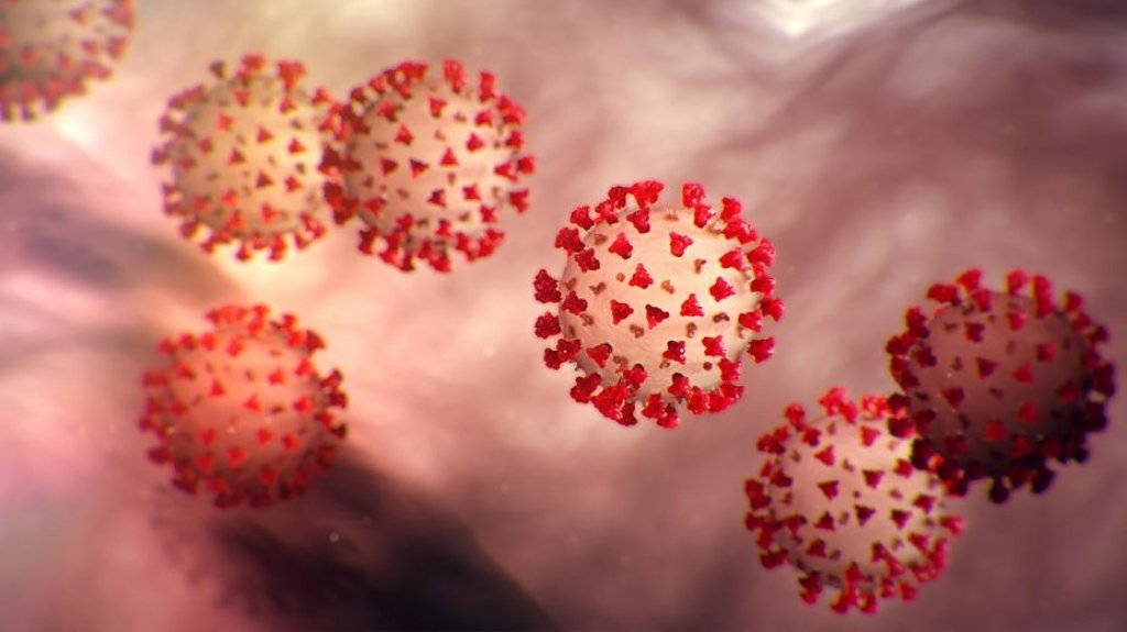  17 muertes y 901 casos confirmados de COVID-19 en informe DS 