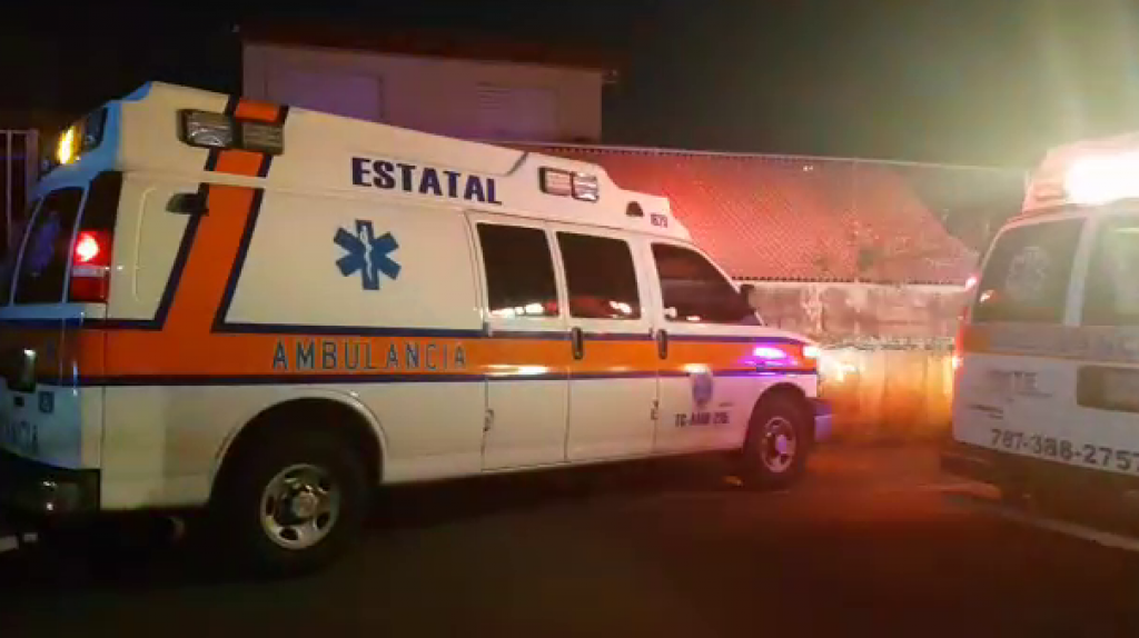  Grave menor de 3 a&ntilde;os atacado por un Pitbull en Lajas 