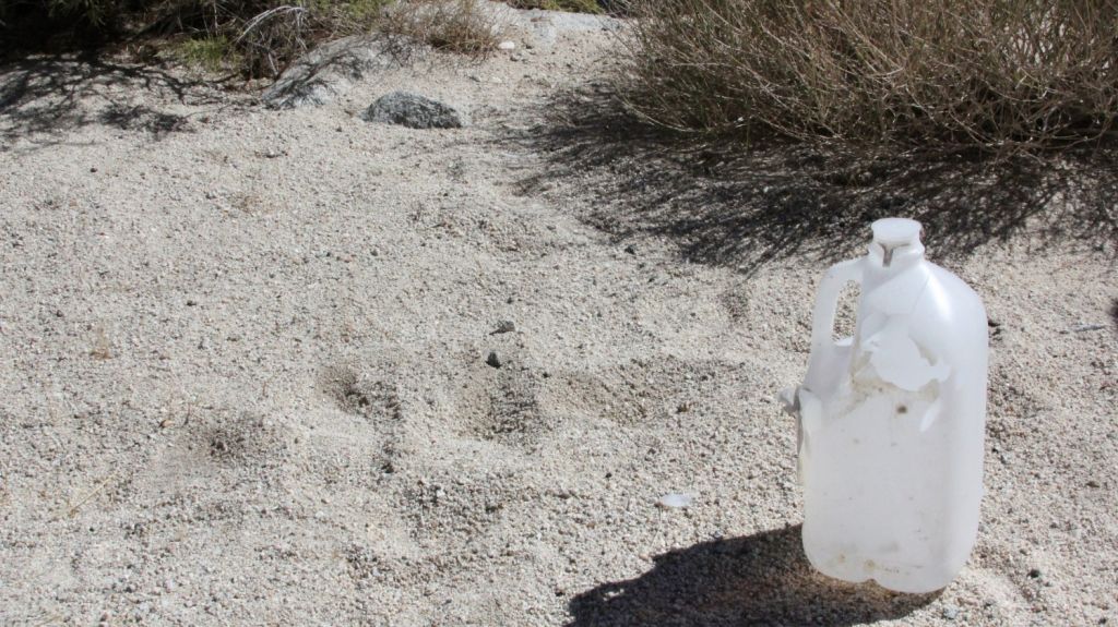  Declaran culpables a cuatro activistas por dejar agua en desierto a migrantes 