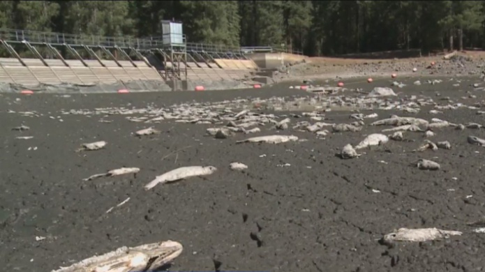 California: La inexplicable desapariciÃ³n de un embalse en una sola noche