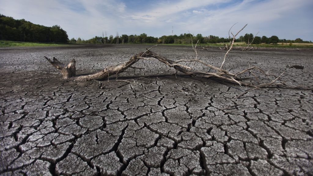  Advierten sobre sequ&iacute;a "extrema" que azota a siete estados de EU 