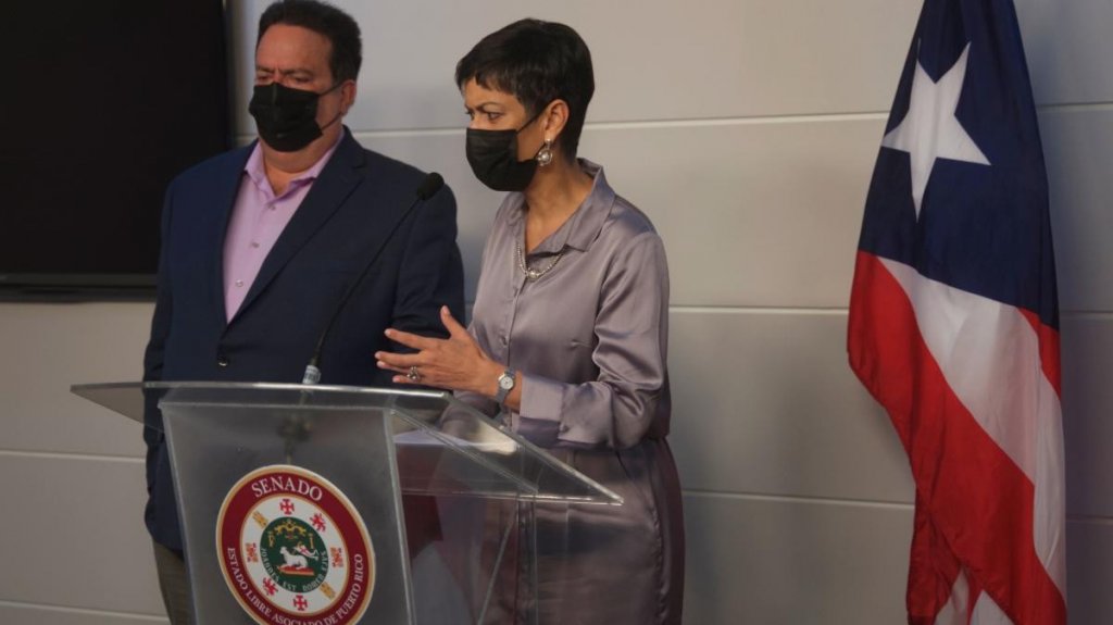  Delegación PIP presenta medidas que buscan reducir brecha de inequidad por razón del género 