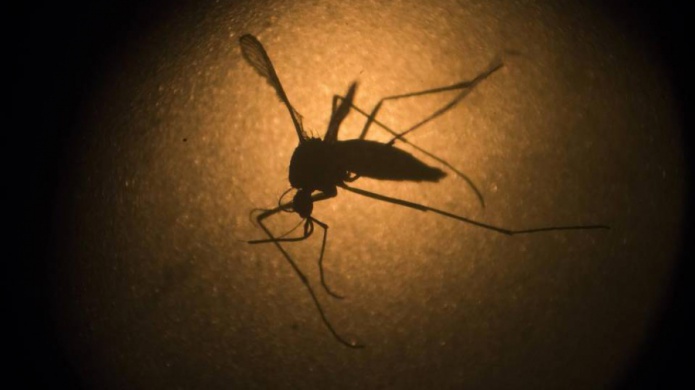 Ya son 180 los casos de zika en la Florida