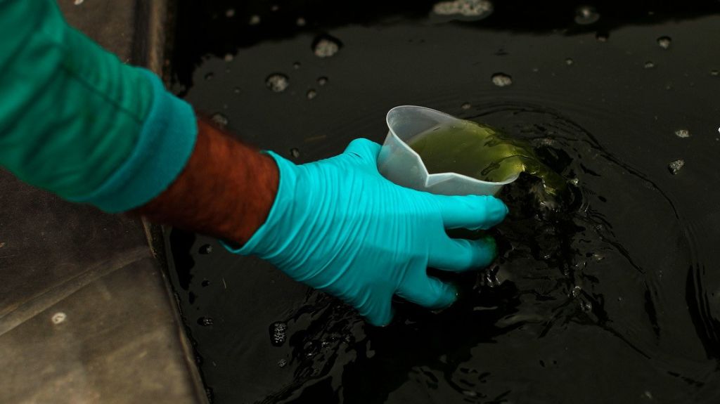  Cient&iacute;ficos neerlandeses encuentran una nueva se&ntilde;al de alerta temprana del coronavirus 