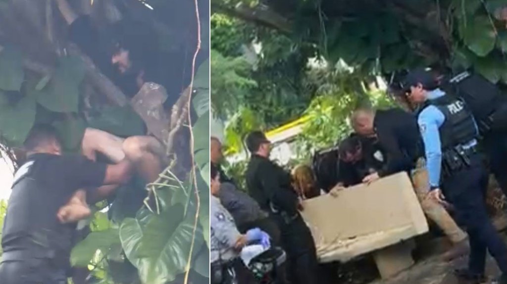  Video: Municipales de San Juan evitan que hombre se quite la vida en la UPR de R&iacute;o Piedras 