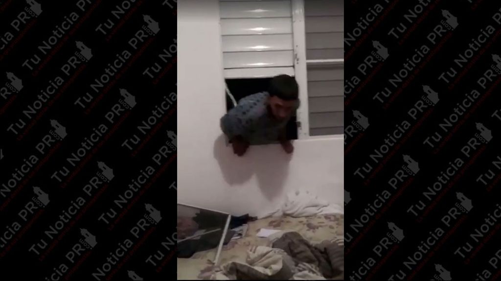  Activa la polic&iacute;a en Caguas en b&uacute;squeda de hombre que aparece en un video agrediendo una mujer 
