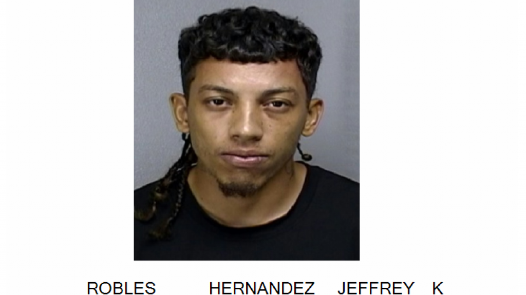  A la cárcel, atropello un perro en Vega Alta y cuando el dueño del perro le reclamo le disparó 