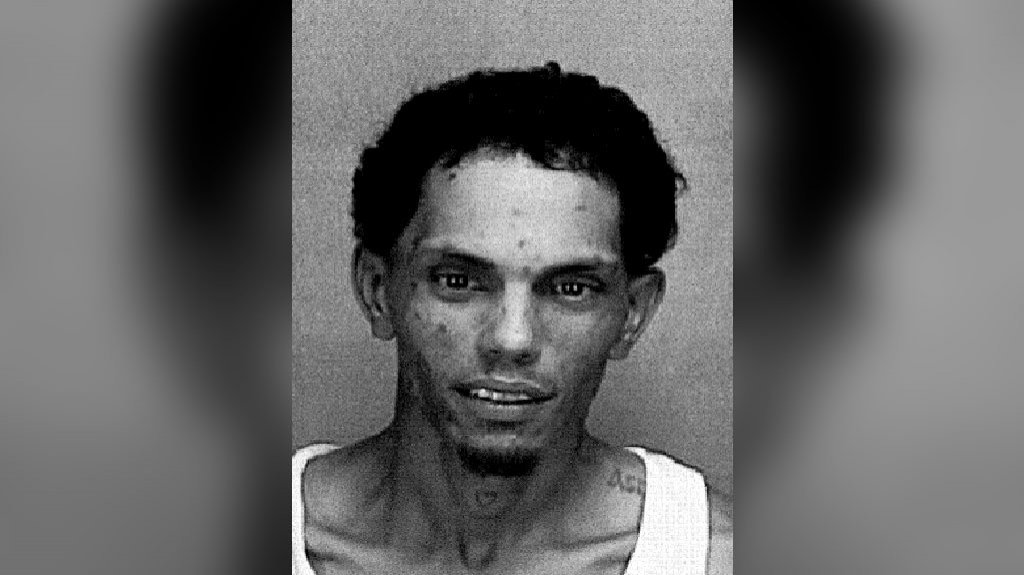  Arrestan sujeto por cargos de violencia dom&eacute;stica en Toa Baja 