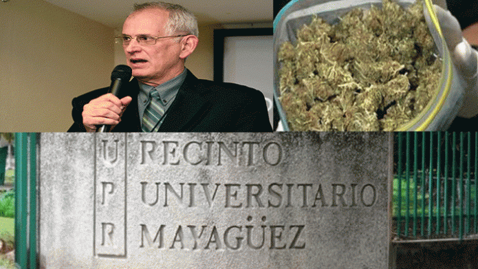Rector del RUM  dice âGuardia Universitaria Realizo el hallazgo 
de marihuana en el campusâ
