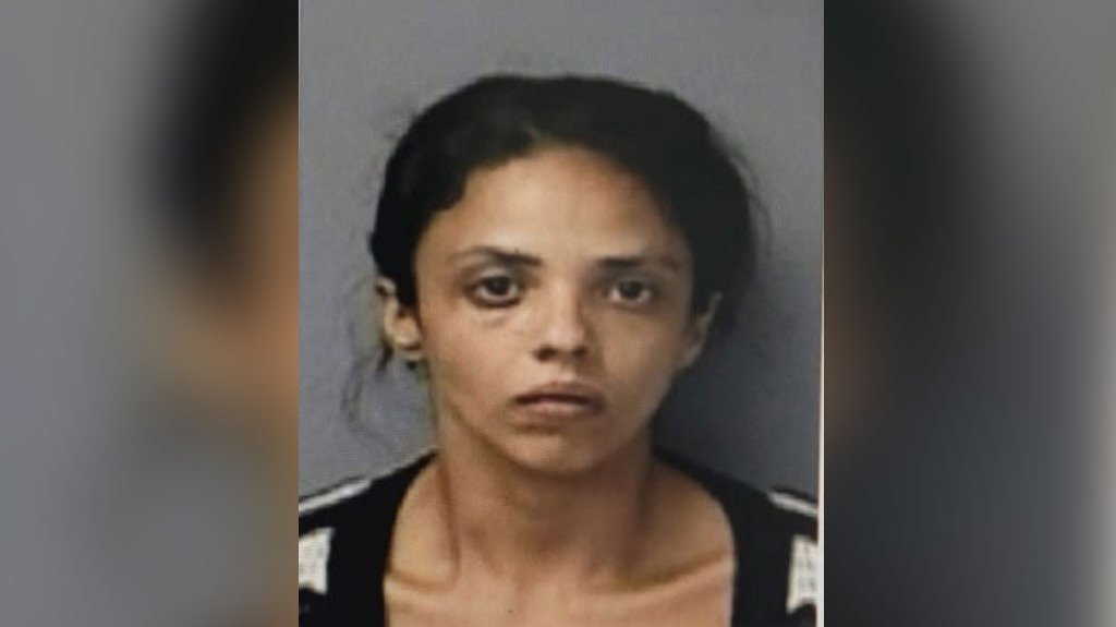  Arrestan a mujer por agredir a agentes de la policía en Manatí 