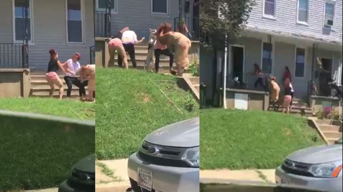 Video Viral: comienzan peleando dos mujeres y termina toda la familia "Hasta los perros"