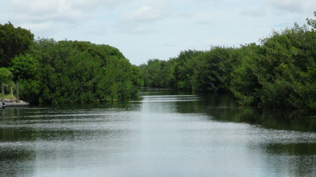  Recuperan cuerpo de cuarta v&iacute;ctima en la colisi&oacute;n de dos avionetas en Florida 