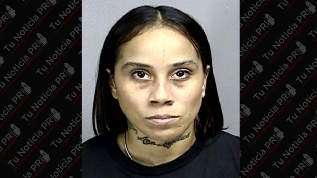  Discutía por un estacionamiento con su vecina Vega Alta y mandó dos tiros al piso 