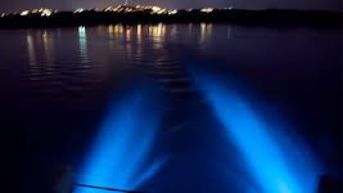 Mejoran las condiciones de bioluminiscencia en la BahÃ­a Mosquito 