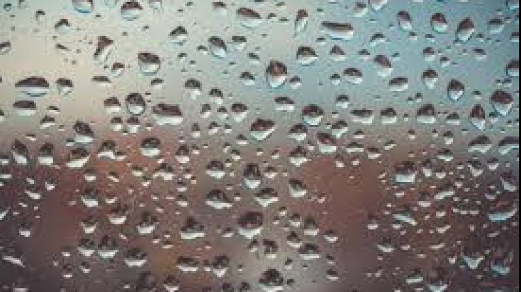  Resumen del Tiempo 16 de abril 