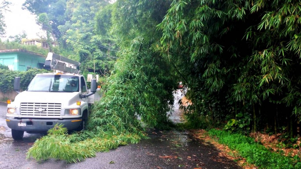  DTOP despeja v&iacute;as ante ca&iacute;da de &aacute;rboles como consecuencia del paso del hurac&aacute;n Elsa 
