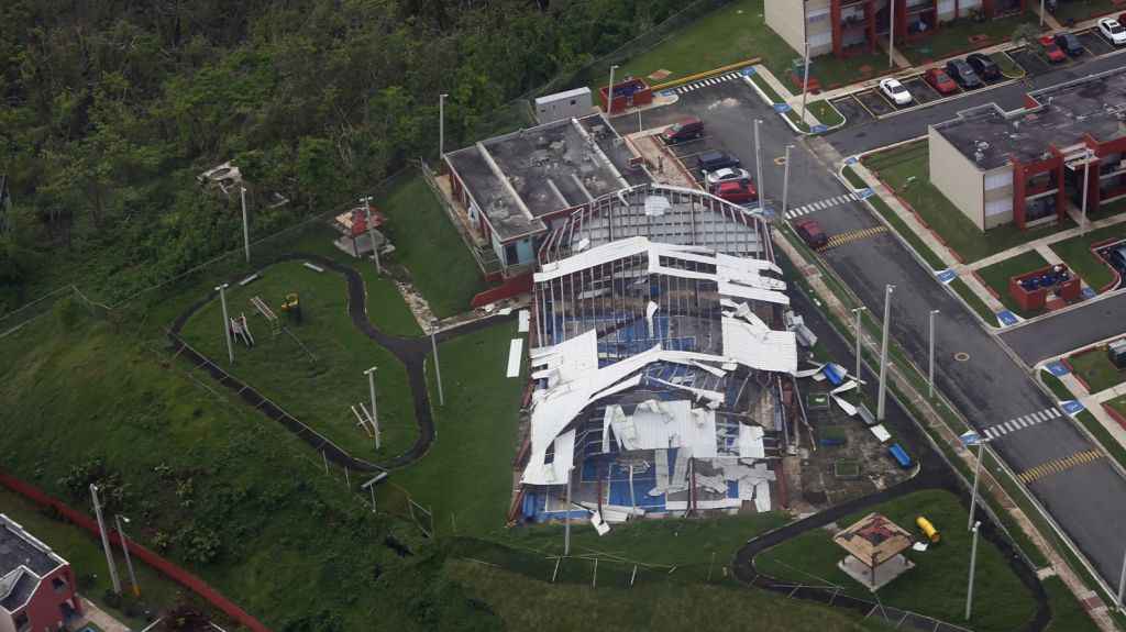  Sembrar&aacute;n 4 mil &aacute;rboles en Puerto Rico para reforestar la isla tras hurac&aacute;n Mar&iacute;a 