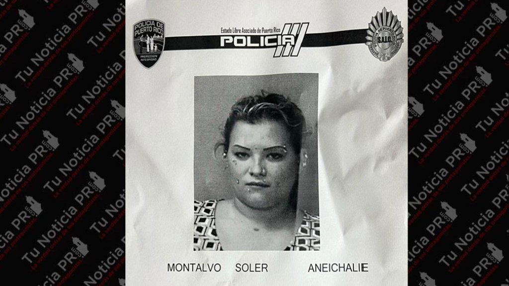  Arrestada por agredir a su Ex en Camuy 