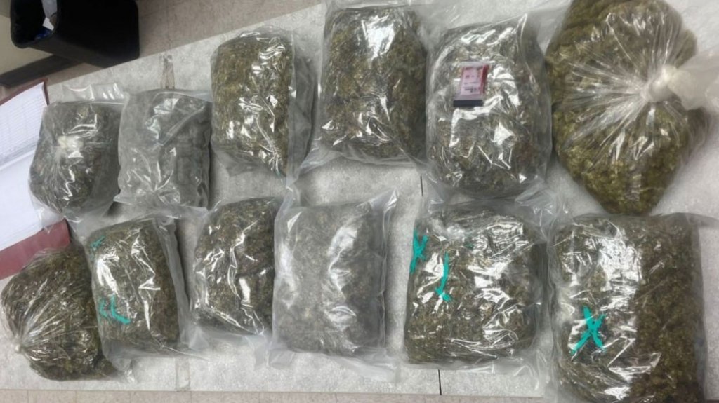  Arrestan a una pareja en Manat&iacute; con 12 libras de Marihuana 