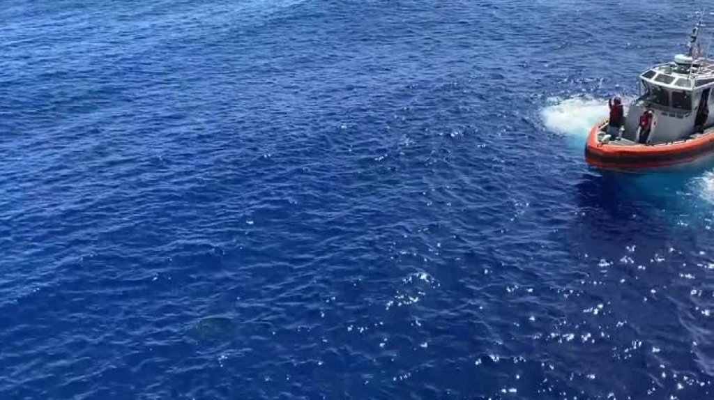  Publican video del moento en que &ldquo;El Coast Guard&rdquo; dispara contra un tibur&oacute;n 