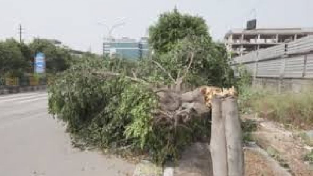  Vea video: Nuevas tormentas en la India dejan al menos 42 muertos 