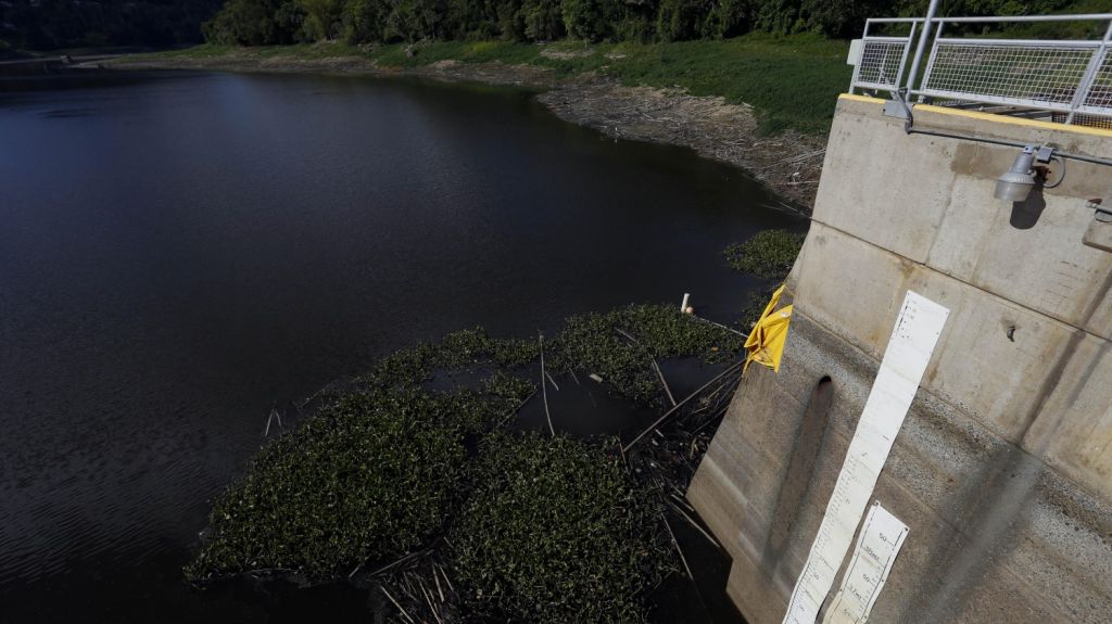  Disminuye de 17,08 a 15,54 el porcentaje de sequ&iacute;a moderada en Puerto Rico 