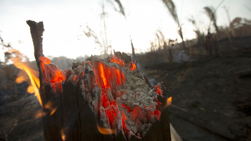  Canad&aacute; confirma que Brasil ha rechazado su oferta de ayuda para la Amazon&iacute;a 