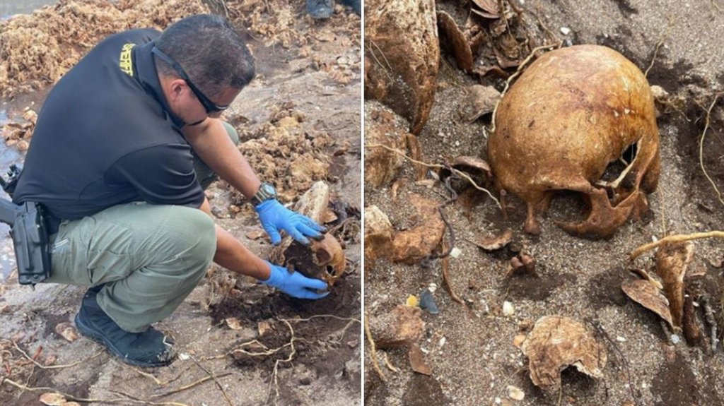  El huracán Nicole desentierra seis esqueletos en Florida 