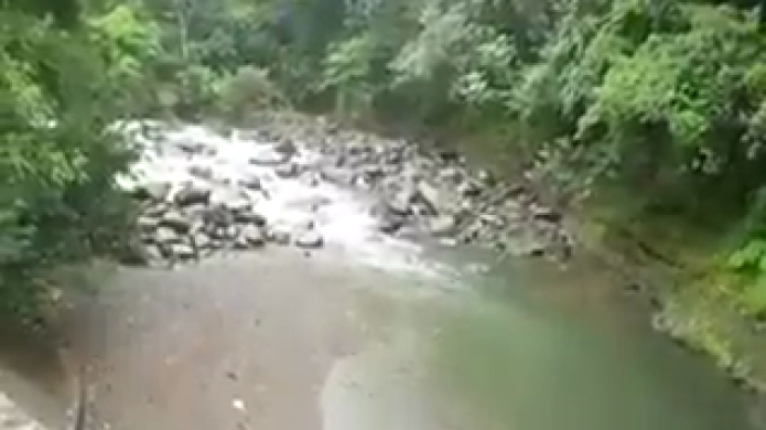 Video: Se Salva una familia de un golpe de agua en rio del Yunque