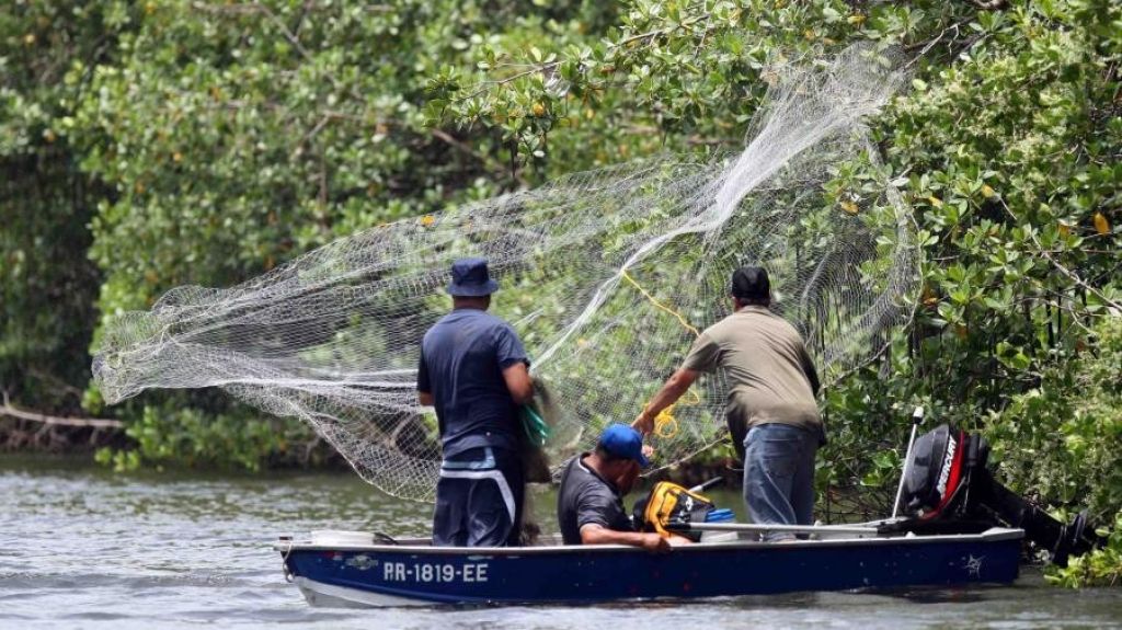  DRNA comenzar&aacute; a multar y quitar licencias a pescadores comerciales por no rendir estad&iacute;sticas pesqueras 
