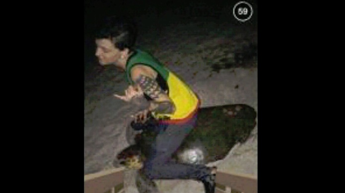 Mujer es arrestada por montar a una tortuga marina en Florida