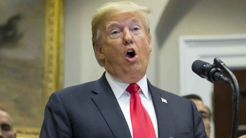  Trump refuerza su apuesta por el Senado a 3 d&iacute;as de elecciones legislativas 