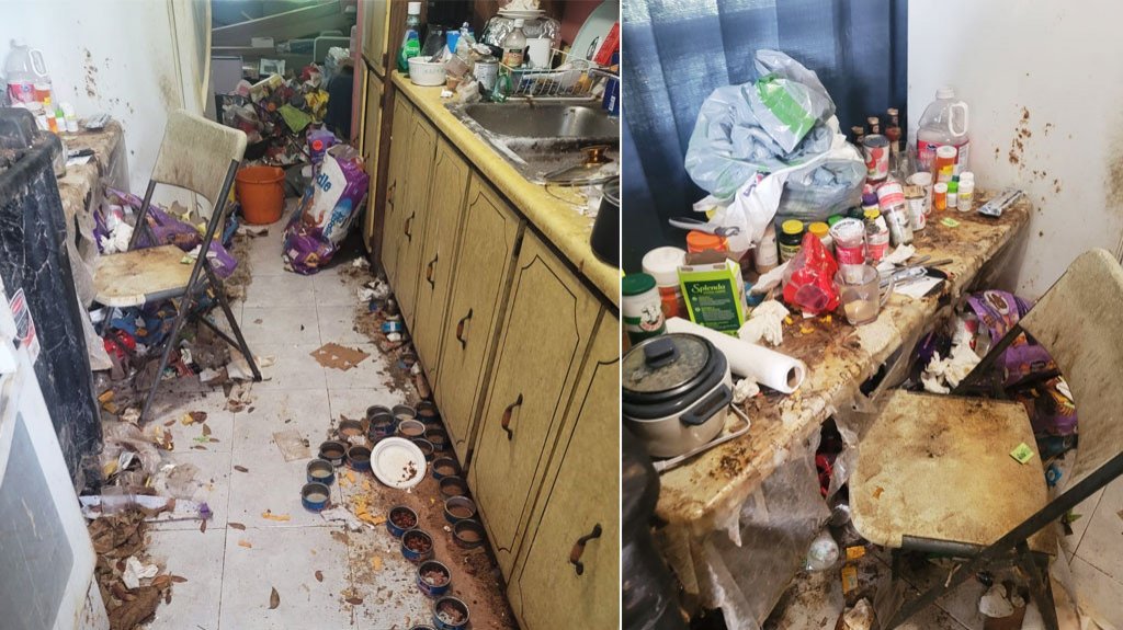  Investigan Caso de Anciano Encontrado en Condiciones Infrahumanas en Guayama 