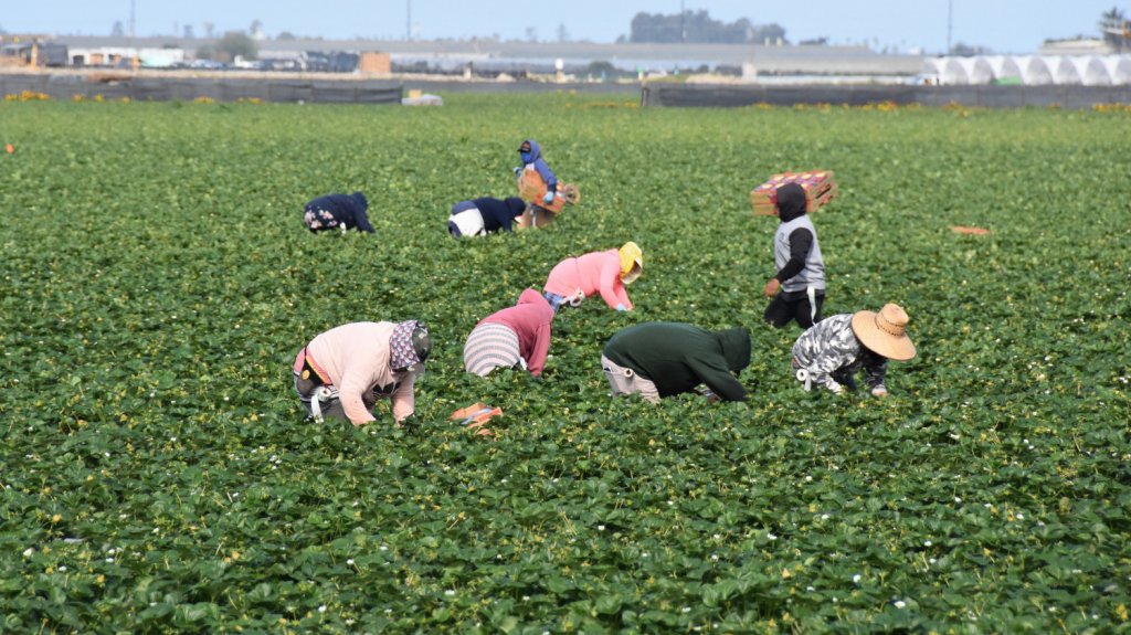  Obiscos cat&oacute;licos celebran la aprobaci&oacute;n de leyes de inmigraci&oacute;n en la C&aacute;mara 