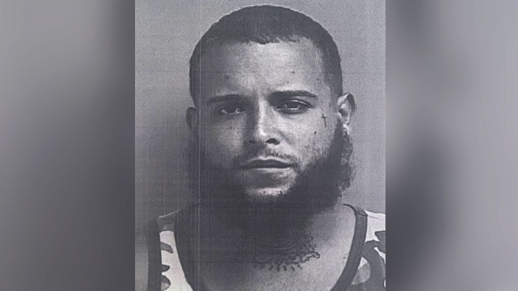  Arrestan a hombre en San Lorenzo por violaci&oacute;n a la Ley 54 