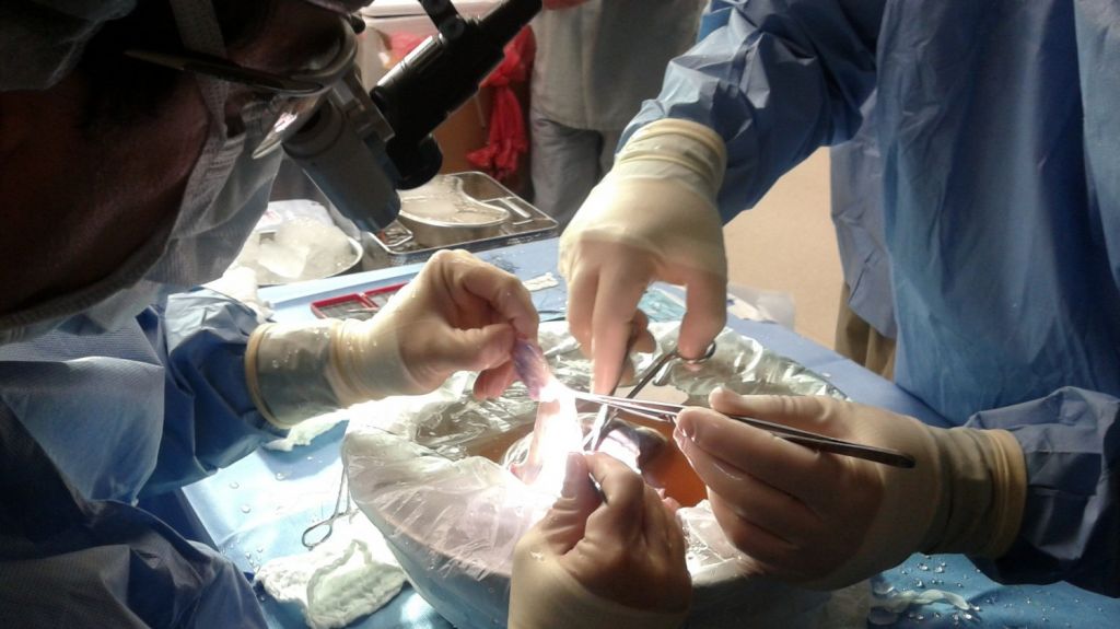  Un equipo m&eacute;dicos abre la puerta a trasplantes entre pacientes vivos con VIH 