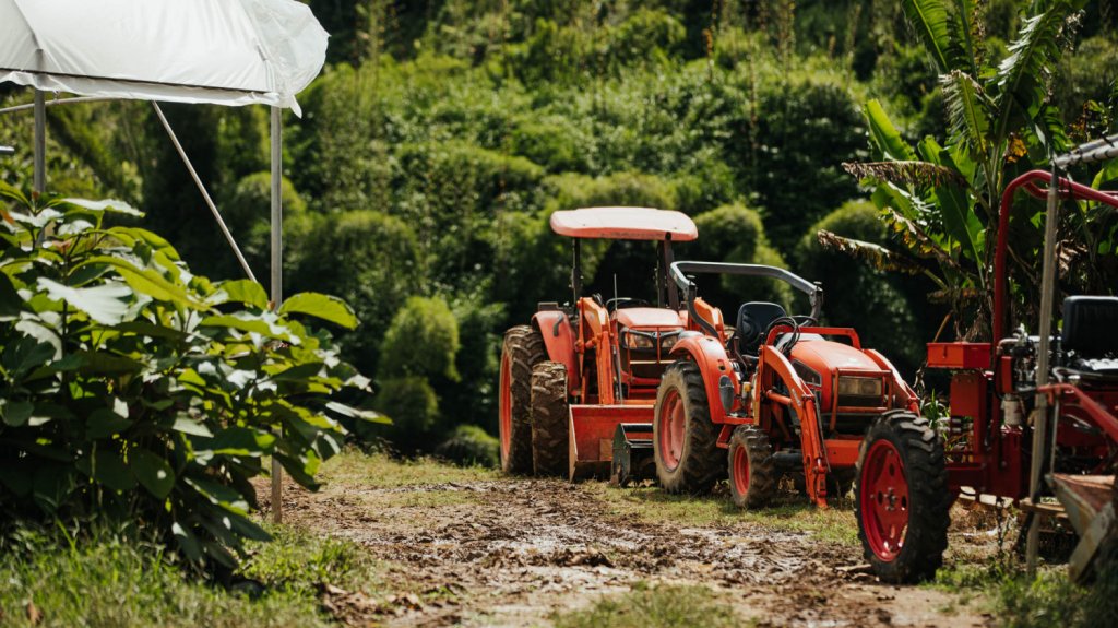  Ofrece World Central Kitchen nuevo apoyo a una veintena de proyectos de producci&oacute;n de alimentos en el pa&iacute;s 