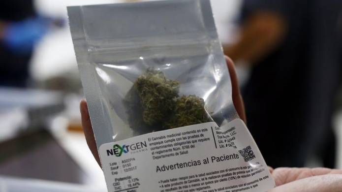 Senado favorece regular industria de cannabis medicinal en la Isla