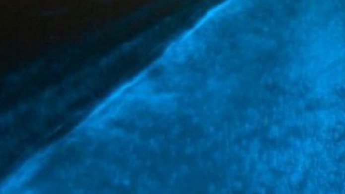 MejorÃ­a en la bioluminiscencia de bahÃ­a Mosquito en Vieques
 
