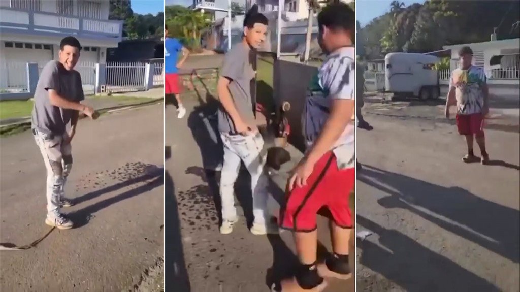  Viral video de jóvenes abusando de un caballo en Puerto Rico 