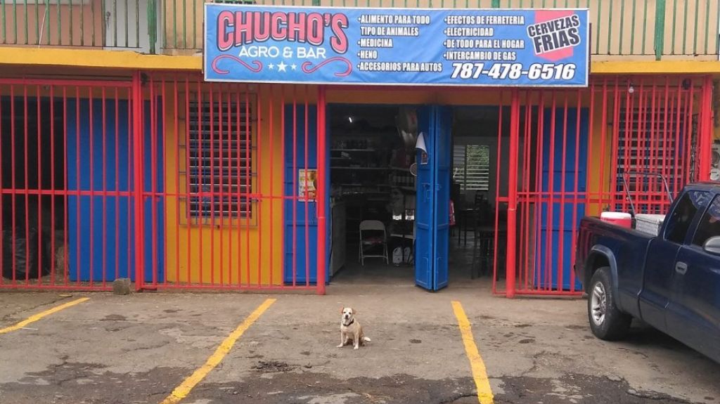  Asalto en negocio en Aguas Buenas 