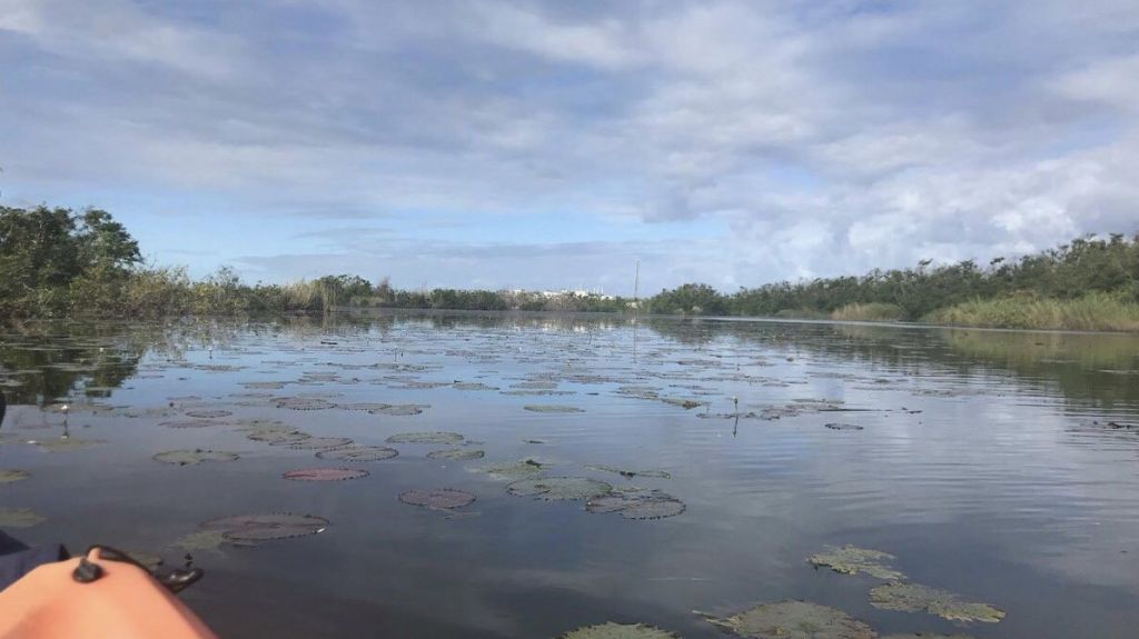  Alegan gobierno intenta paralizar proceso judicial sobre Ca&ntilde;o Tiburones 