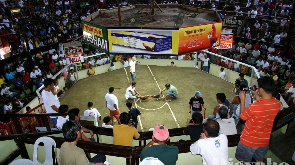  Representantes regresan a la capital federal por los gallos 